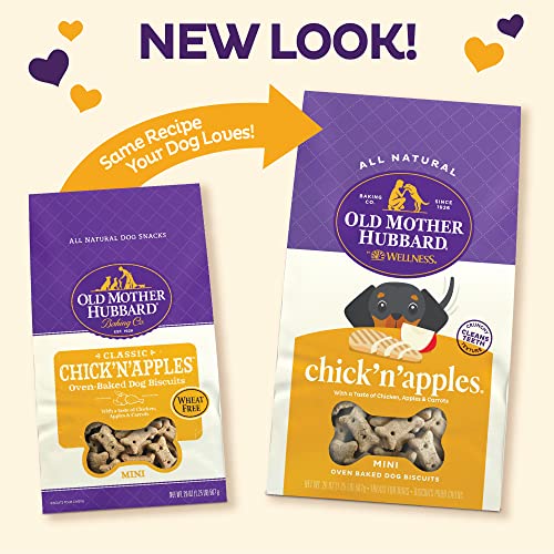 Old Mother Hubbard by Wellness Classic Chick'N'Apples Natural Dog Treats, Crunchy Oven-Baked Biscuits, Ideal for Training, Mini Size, 20 ounce bag