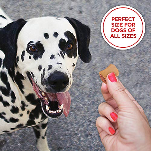 Milk-Bone MaroSnacks Dog Treats, 10 Ounce (Pack of 12)