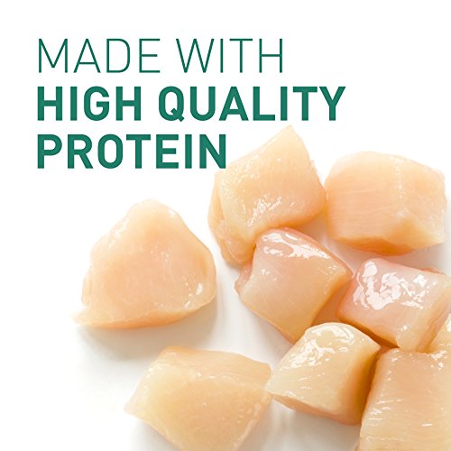 NUTRO Puppy Wet Dog Food