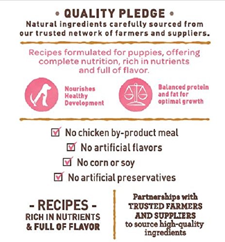 NUTRO Puppy Wet Dog Food