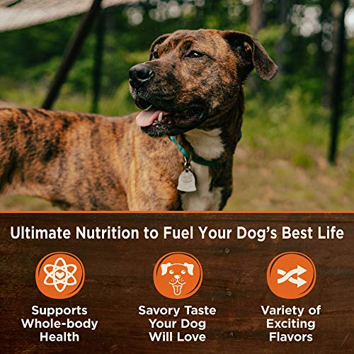 Wellness CORE Natural Wet Grain Free Canned Dog Food, Whitefish, Salmon & Herring, 12.5-Ounce Can (Pack of 12)