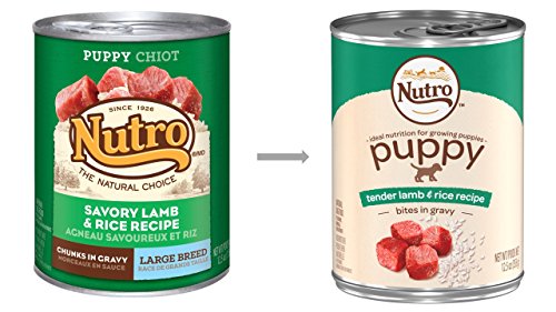 DISCONTINUED: NUTRO Large Breed PUPPY Tender Lamb Recipe Bites in Gravy Canned Dog Food 12.5 Ounces (Pack of 12)
