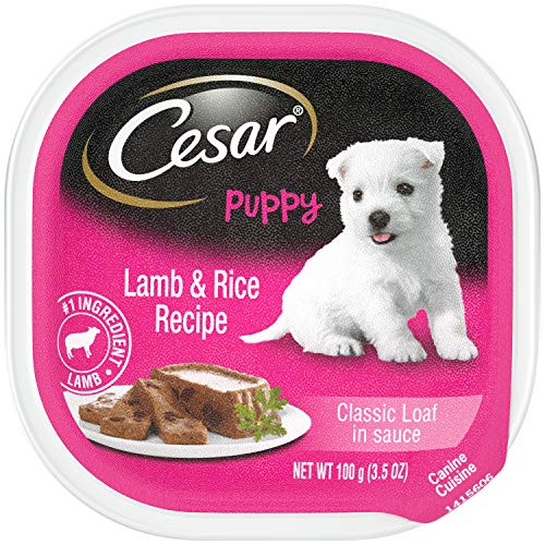 CESAR Puppy Soft Wet Dog Food Classic Loaf in Sauce Lamb and Rice Recipe, (24) 3.5 oz. Easy Peel Trays