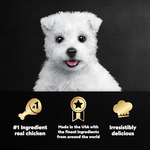 CESAR Puppy Soft Wet Dog Food Classic Loaf in sauce Chicken & Beef Recipe, 3.5 Ounce (Pack of 24) Easy Peel Trays