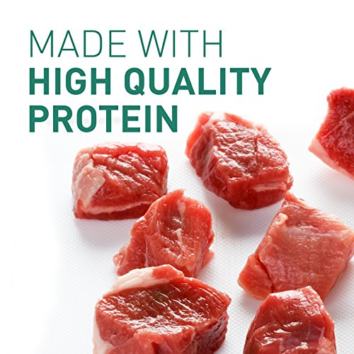 DISCONTINUED: NUTRO Large Breed PUPPY Tender Lamb Recipe Bites in Gravy Canned Dog Food 12.5 Ounces (Pack of 12)