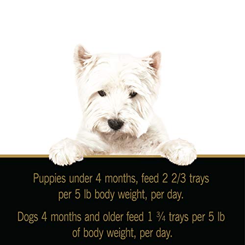 CESAR Puppy Soft Wet Dog Food Classic Loaf in Sauce Lamb and Rice Recipe, (24) 3.5 oz. Easy Peel Trays