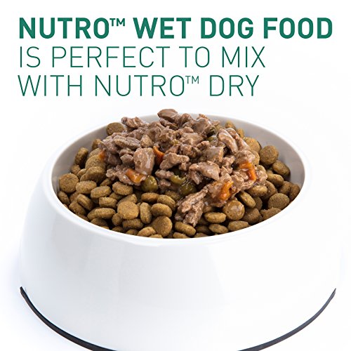 DISCONTINUED: NUTRO Large Breed PUPPY Tender Lamb Recipe Bites in Gravy Canned Dog Food 12.5 Ounces (Pack of 12)
