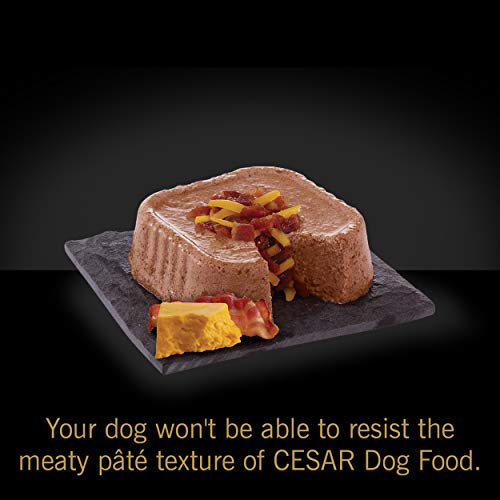 CESAR Puppy Soft Wet Dog Food Classic Loaf in Sauce Lamb and Rice Recipe, (24) 3.5 oz. Easy Peel Trays
