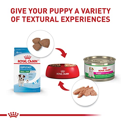 Royal Canin Small Puppy Dry Dog Food, 2.5 lb bag