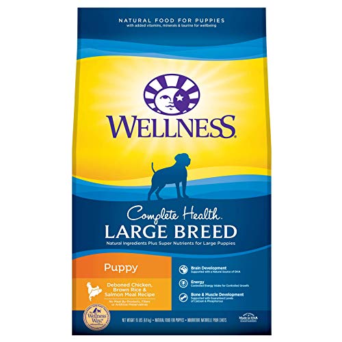 Wellness Complete Health Natural Dry Large Breed Puppy Food, Chicken, Salmon & Rice, 15-Pound Bag
