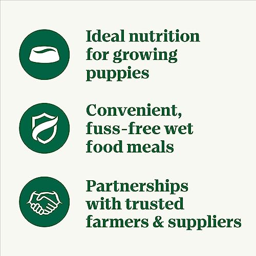 NUTRO PUPPY Grain Free Natural Wet Dog Food Bites in Gravy, Tender Chicken, Sweet Potato & Pea Recipe, 3.5 oz. Trays (Pack of 24)