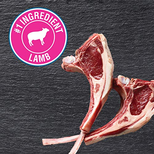 CESAR Puppy Soft Wet Dog Food Classic Loaf in Sauce Lamb and Rice Recipe, (24) 3.5 oz. Easy Peel Trays