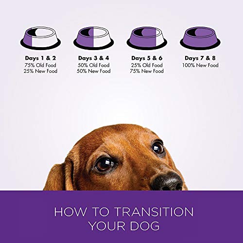 Wellness Complete Health Natural Dry Dog Food, Whitefish & Sweet Potato, 6-Pound Bag