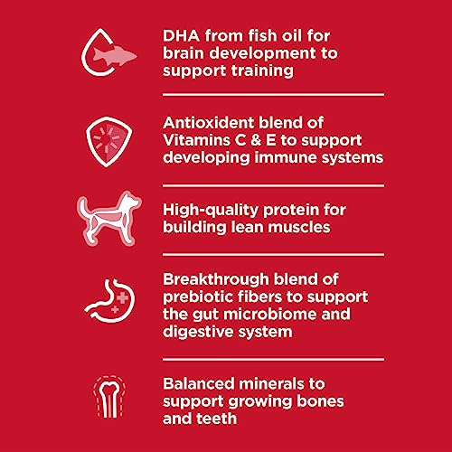 Hill's Science Diet Dry Dog Food, Puppy, Chicken Meal & Barley Recipe, 4.5 lb. Bag