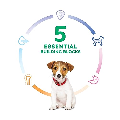 Hill's Science Diet Dry Dog Food, Puppy, Small Bites, Chicken Meal & Barley Recipe, 15.5 lb. Bag