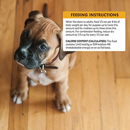 Wellness CORE Natural Wet Canned Grain Free Puppy Food,Turkey, Chicken & Herring, 12.5-Ounce Can (Pack of 12)