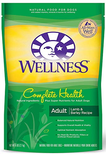 Wellness Complete Health Natural Dry Dog Food, Lamb & Barley, 6-Pound Bag