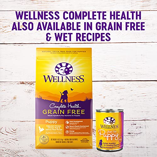 Wellness Complete Health Natural Dry Large Breed Puppy Food, Chicken, Salmon & Rice, 15-Pound Bag