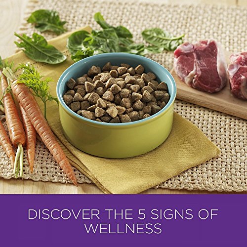 Wellness Complete Health Natural Dry Dog Food, Lamb & Barley, 6-Pound Bag