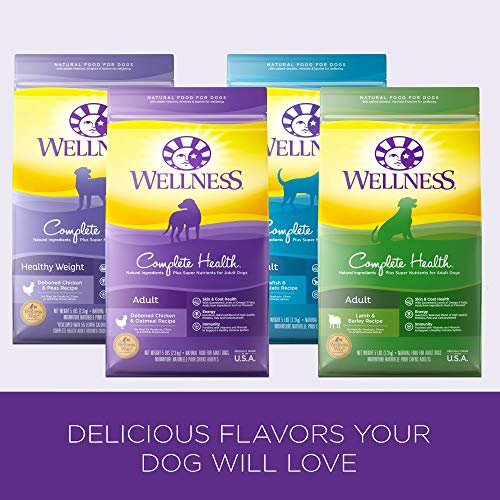 Wellness Complete Health Natural Dry Dog Food, Lamb & Barley, 6-Pound Bag