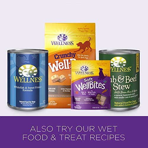 Wellness Complete Health Natural Dry Dog Food, Lamb & Barley, 6-Pound Bag