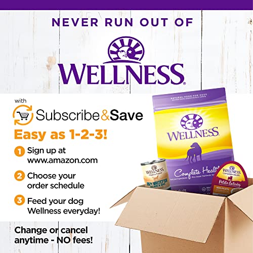 Wellness Complete Health Senior Dry Dog Food with Grains, Natural Ingredients, Made in USA with Real Meat, All Breeds (Chicken & Barley, 30-Pound Bag)