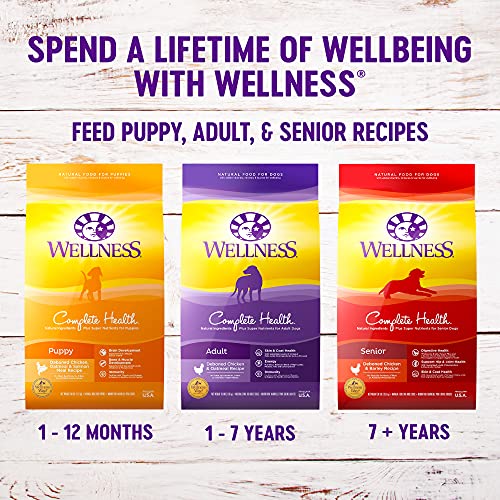 Wellness Complete Health Dog Food - Healthy Weight