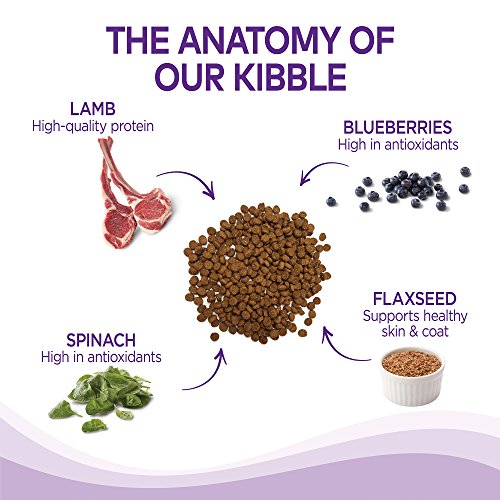 Wellness Complete Health Natural Dry Dog Food, Lamb & Barley, 15-Pound Bag