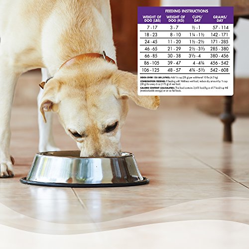 Wellness Complete Health Natural Dry Dog Food, Lamb & Barley, 15-Pound Bag