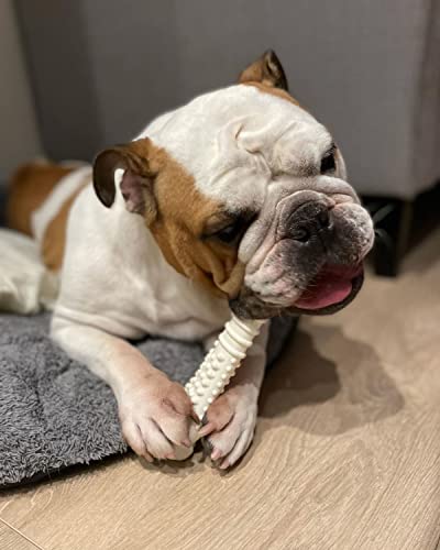 Nylabone Chicken Flavored X-Large Chew Toy for Dogs