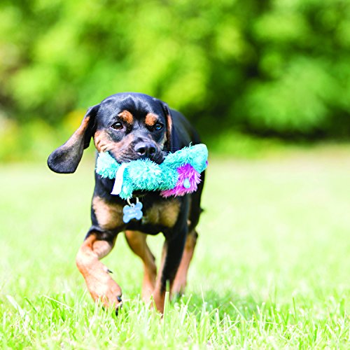 Tupper the Lamb Medium Dog Toy - KONG Cozie