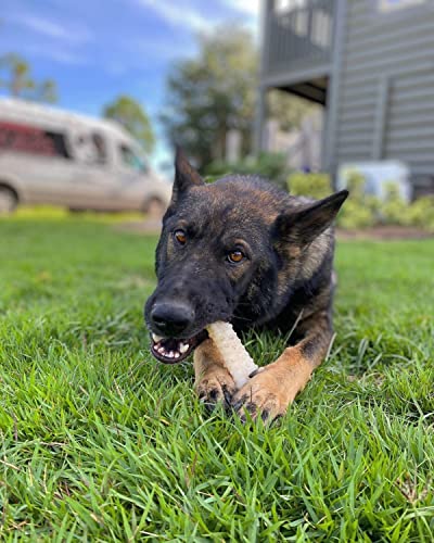 X-Large Nylabone Power Chew Toy for Dogs