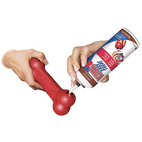 KONG Goodie Bone: Dental Chew for Aggressive Chewers