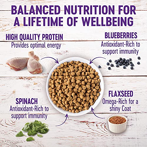 Wellness Puppy Food, Chicken, Salmon & Oatmeal, 15 lbs