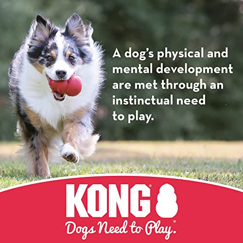KONG Extreme Ball – Indestructible Toy for Aggressive Chewers