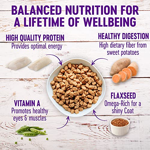 Wellness Dry Dog Food: USA-made, Natural Ingredients, Whitefish & Sweet Potato