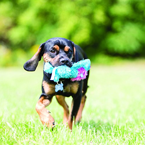 KONG Cozie King Lion - Cuddle Squeaky Dog Toy