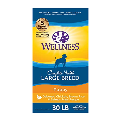 Large Breed Puppy Food with Natural Ingredients