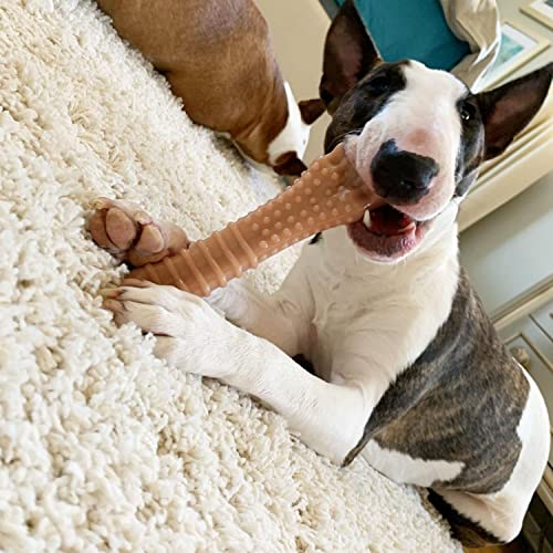 Nylabone Power Chew Dog Toy - Dog Toys for Aggressive Chewers - Indestructible Dog Toys for Aggressive Chewers Large Breed - For Extra Large Dogs - Bacon Flavor X-Large/Souper (1 Count)