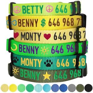 Blueberry Pet Essentials Personalized Dog Collar, Neon Green, Large, Adjustable Customized ID Collars for Large Dogs Embroidered with Pet Name & Phone Number