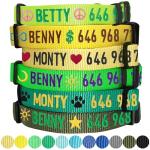 Blueberry Pet Essentials Personalized Dog Collar, Neon Green, Large, Adjustable Customized ID Collars for Large Dogs Embroidered with Pet Name & Phone Number
