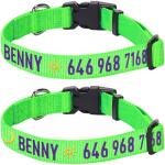 Blueberry Pet Essentials Personalized Dog Collar, Neon Green, Large, Adjustable Customized ID Collars for Large Dogs Embroidered with Pet Name & Phone Number