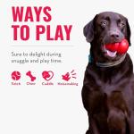 KONG Cozie Rhino Cuddle Dog Toy - Small