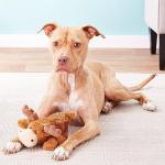 KONG Cozie Marvin Moose Plush Toy for Medium Dogs