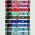 Blueberry Pet Essentials 21 Colors Classic Dog Collar, Blazing Yellow, X-Small, Neck 8"-11", Nylon Collars for Dogs