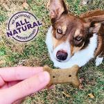 Old Mother Hubbard by Wellness Classic Original Mix Natural Dog Treats, Crunchy Oven-Baked Biscuits, Ideal for Training, Small Size, 20 ounce bag