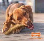Nylabone Power Chew Dog Toy - Aggressive Chewers