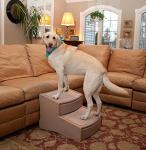 Pet Gear Easy Step II Extra Wide Pet Stairs, 2-step/for cats and dogs up to 200-pounds, Tan