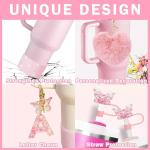 Stanley Cup 30oz/40oz Accessory Set with Straws