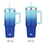 30 oz Stainless Steel Insulated Tumbler with Handle